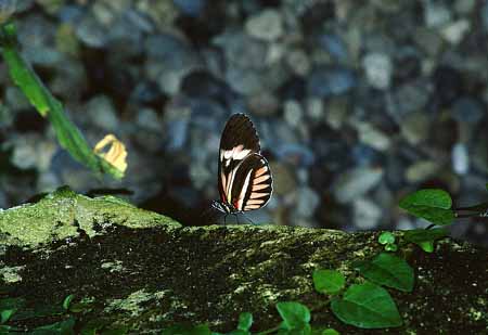 L0761_falter_14