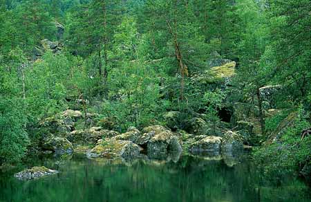 L1360_natur_norwegen