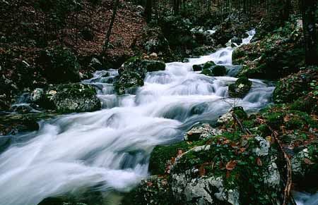 L1805_wildbach