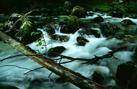 L1826_wildbach