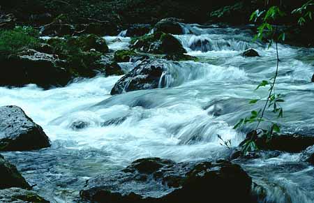 L2073_wildbach