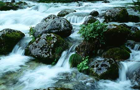 L2085_wildbach