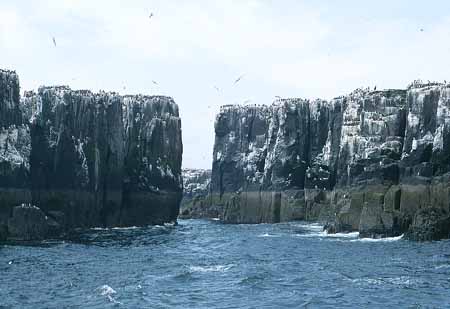 L2167_vogelfels_isle_of_may
