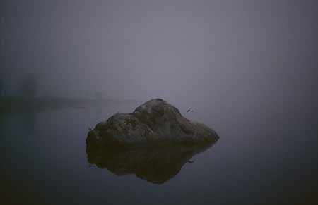 L2324_im_nebel