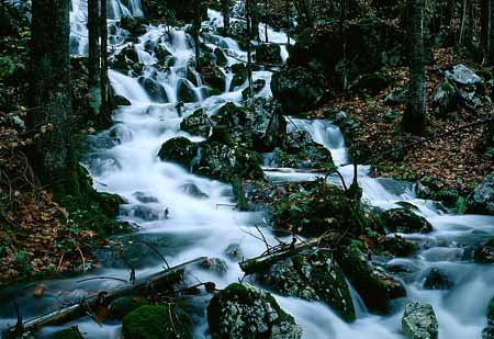 L2347_wildbach