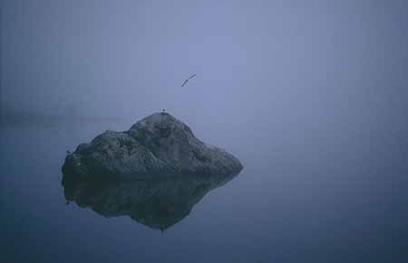 L2399_fels_im_nebel