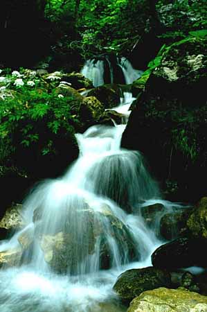 P0198_wassertraum