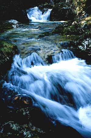 P0380_wildbach