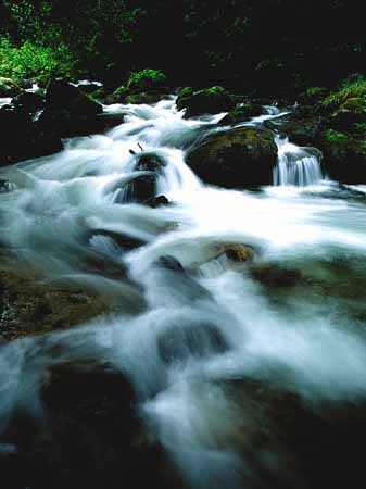 P0444_wildbach