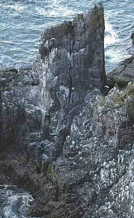 P1173_vogelfels