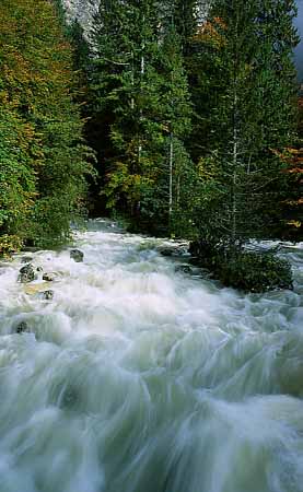 P1482_gebirgsbach