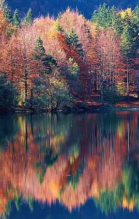 P1587_spiegelung_slow