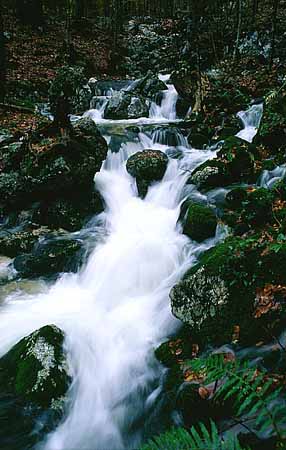 P1945_wildbach