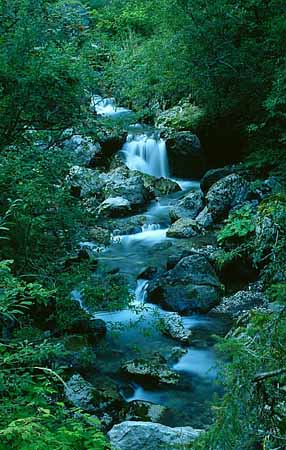 P2153_wildbach