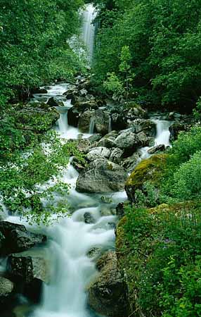 P2213_wildbach