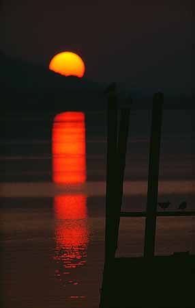 P2275_sonnenuntergang_bodensee