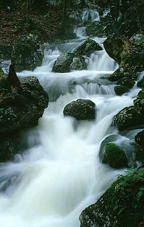 P2570_wildbach