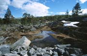L1292_fjell_norwegen