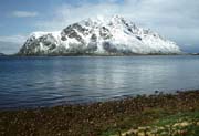 L1503_neuschnee_lofoten_norwegen