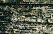 L2082_vogelfels
