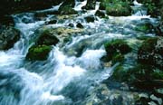 L2089_wildbach