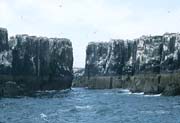 L2167_vogelfels_isle_of_may