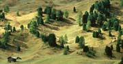 L2256_dolomiten_almblick