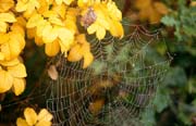 L2299_herbst