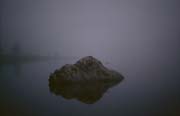 L2324_im_nebel