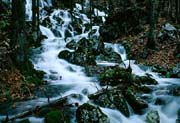 L2347_wildbach