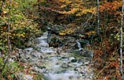 L2384_wildbach_slowenien