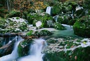 L2385_wildbach_slowenien