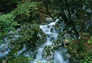 L2595_wildbach