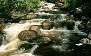 L2964_wildbach