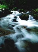 P0444_wildbach