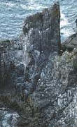 P1173_vogelfels