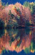 P1587_spiegelung_slow