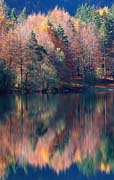 P1587_spiegelung_slowenien