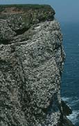 P1789_vogelfels_stonehaven