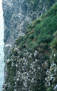 P1791_vogelfels_stonehaven