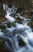 P1814_wildbach
