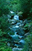 P2153_wildbach