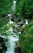 P2213_wildbach