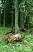 P2323_wald_muell