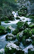 P2338_wildbach_slowenien