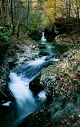 P2341_wildbach_slowenien