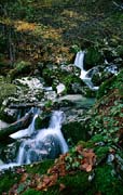 P2390_wildbach_slowenien