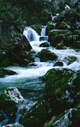 P2401_wildbach