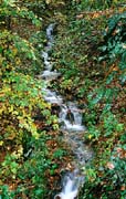 P2410_wildbach