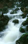 P2570_wildbach